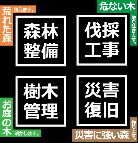 森林整備、樹木管理、伐採工事、災害復旧