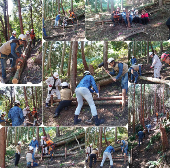 森林整備ボランティア『フジヤマロガークラブ』活動の様子
