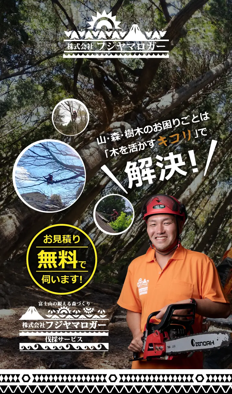 山・森・樹木のお困りごとは「木を活かすキコリ」で解決！お見積り無料で伺います！