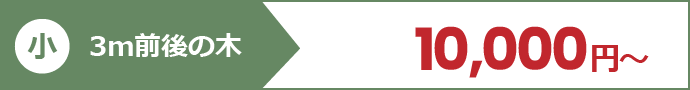 【小】3m前後の木：10,000円～