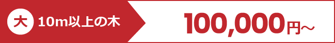 【大】10m前後の木：100,000円～