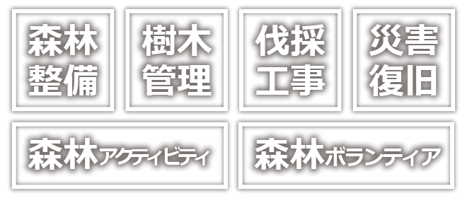 森林整備、樹木管理、伐採工事、災害復旧、森林アクティビティ、森林ボランティア