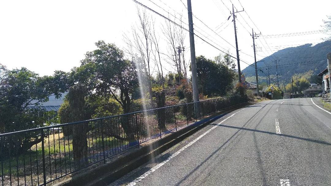 富士宮市の工場にて道路際の支障木伐採を実施しました