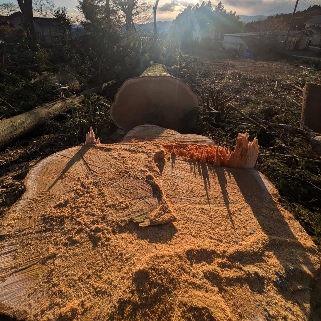 本年もどうぞよろしくお願いいたします！