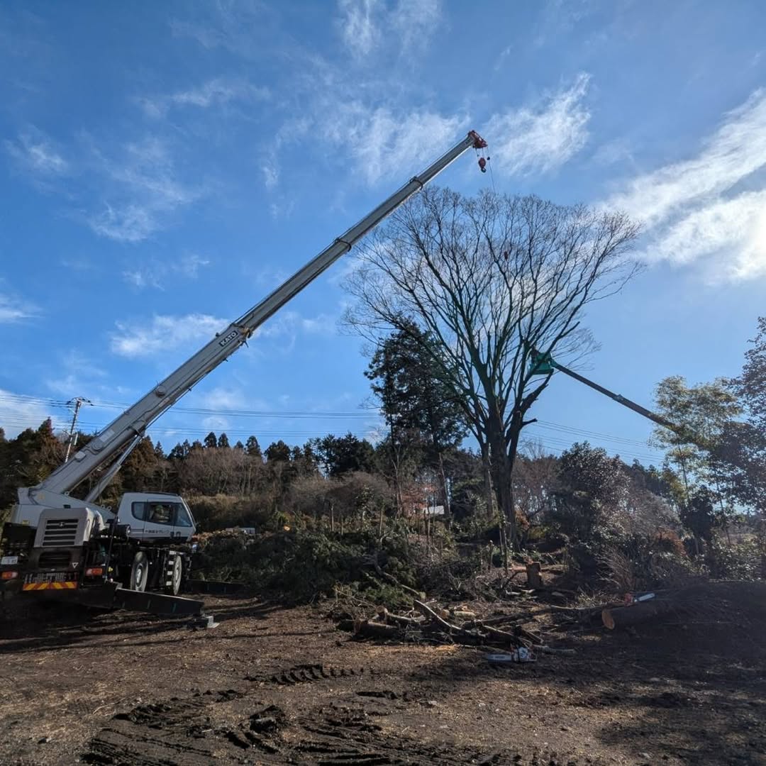 個人のお客様の敷地の伐採を実施しました