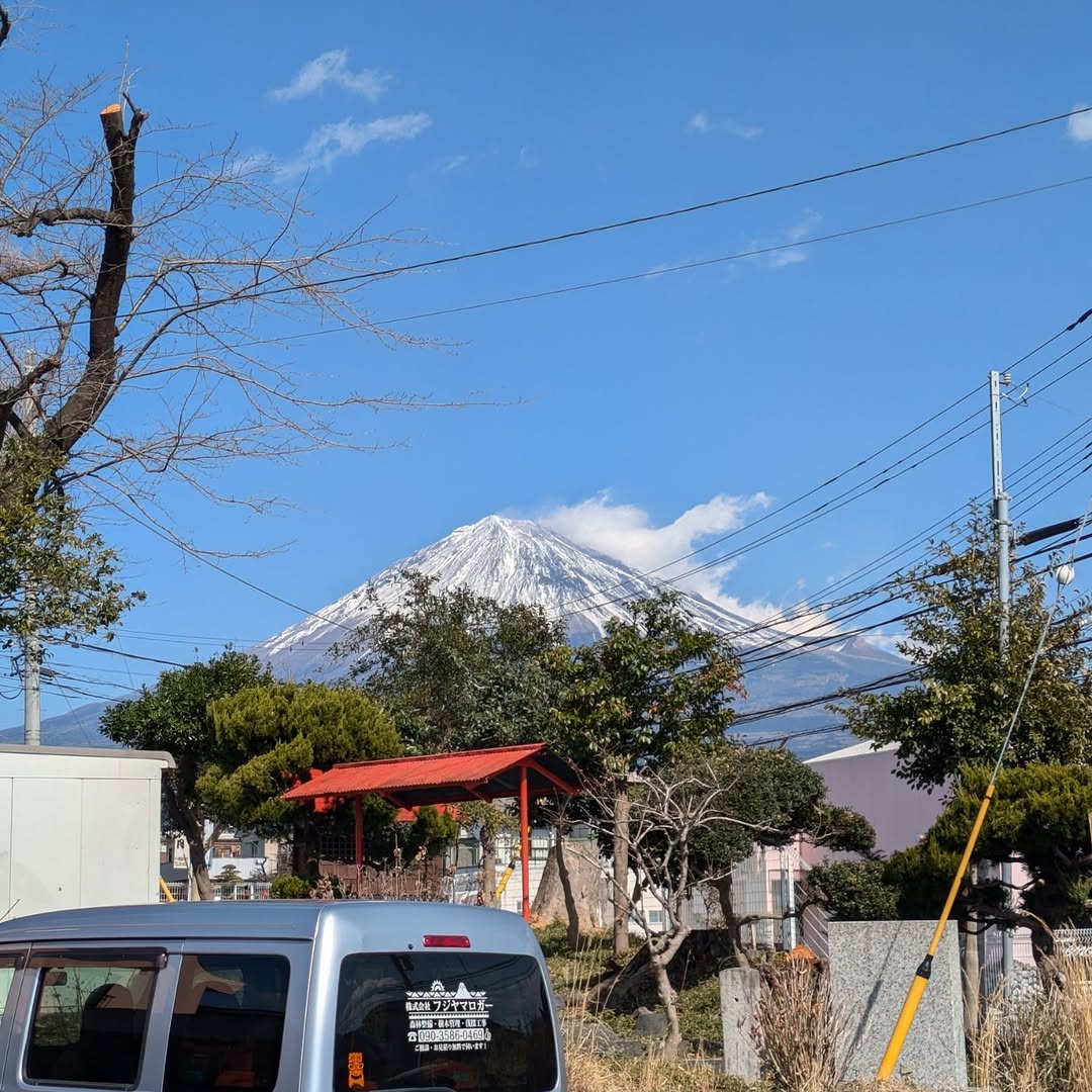 富士宮市内にて神社の木の伐採を行いました