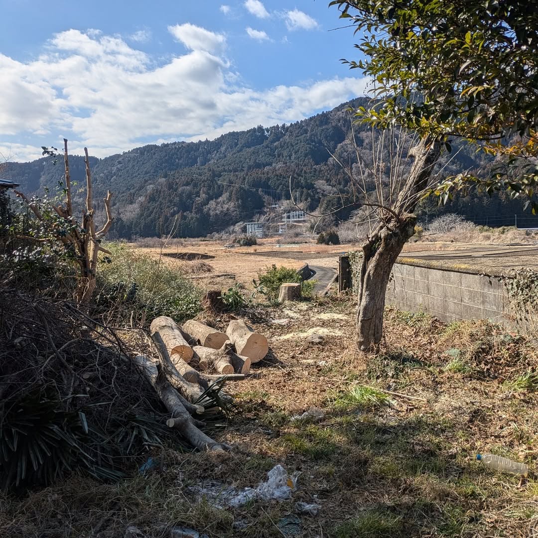 富士宮市の個人宅にて庭木の伐採と藪刈り作業を行いました