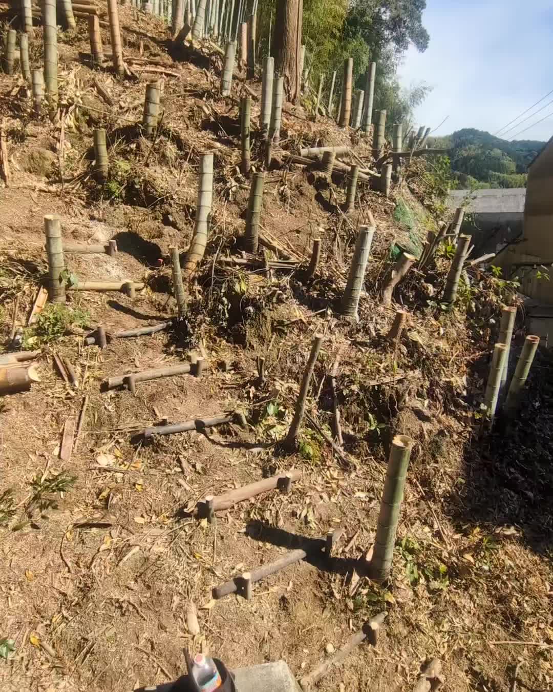 【竹林整備/藤枝市】企業敷地内に隣接する放置竹林の整備