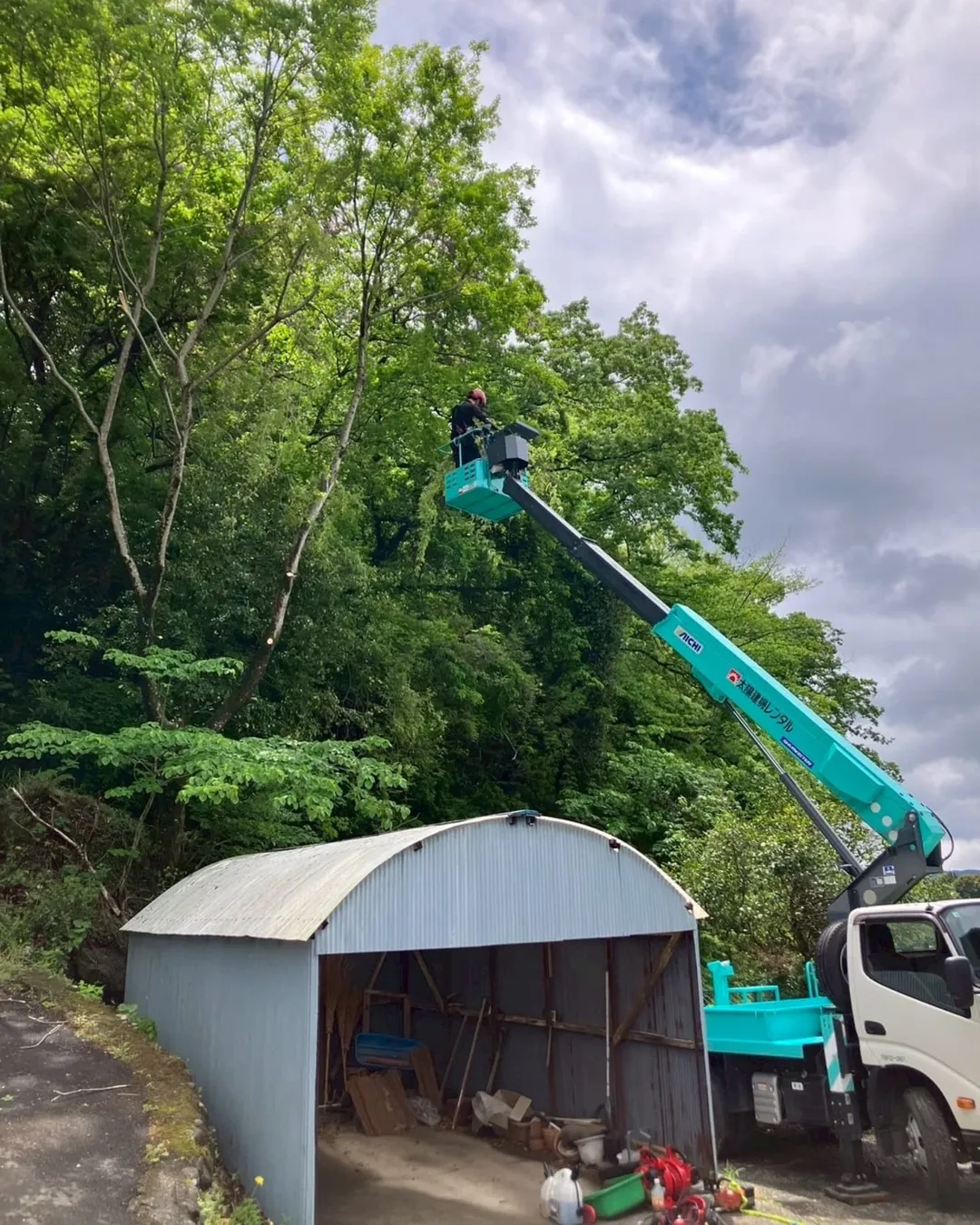 【支障木伐採/富士宮市】個人宅にて高所作業車を使用した支障木伐採