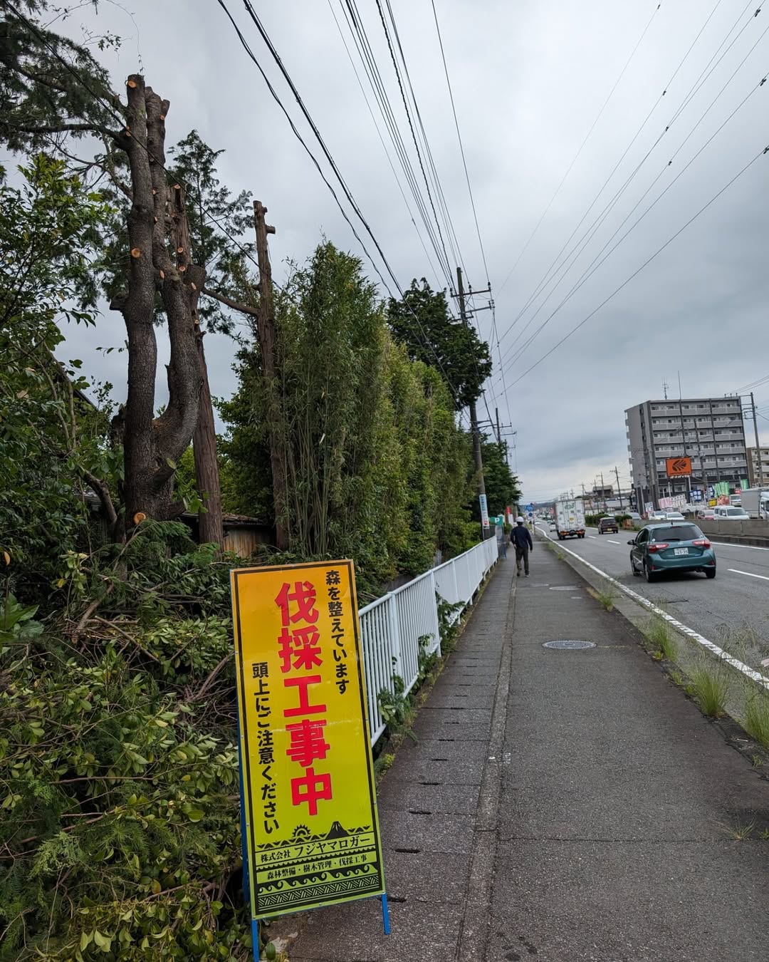 【支障木伐採/富士宮市】個人宅にて道路にはみ出た支障木の剪定・伐採