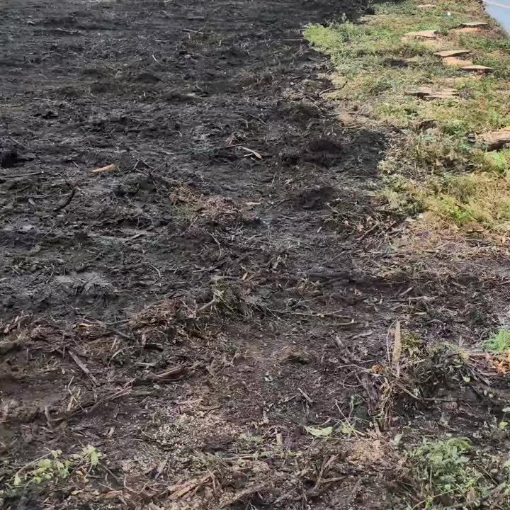 【森林整備・整地/富士宮市】住宅街の小さな森の伐採から抜根、整地作業