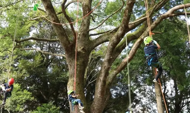 森林アクティビティのイメージ画像